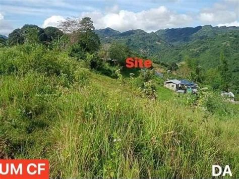 land for sale cebu|Agricultural Lot For Sale in Cebu .